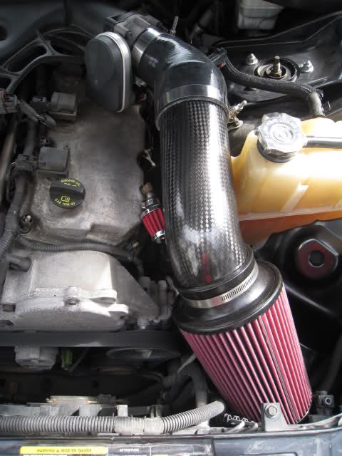293x3wj.jpg