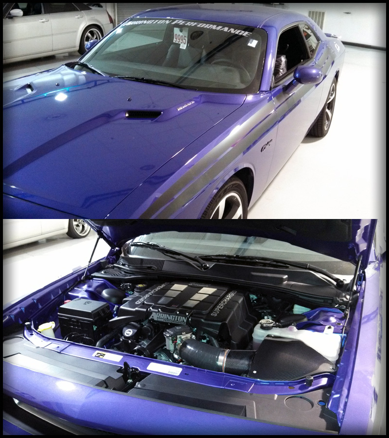API-purple-preview.jpg
