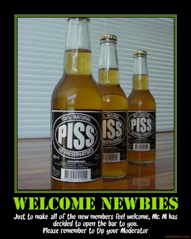 welcome-n00bs-i-ll-bring-the-ice-demotiv