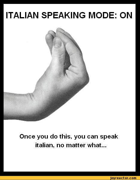 funny-pictures-auto-gesture-italian-4704