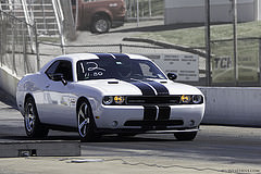 gallery_1595_237_9829.jpg