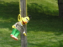 Whats Going On At Pwr? - last post by turbofreek