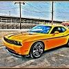 Yellow Jacket