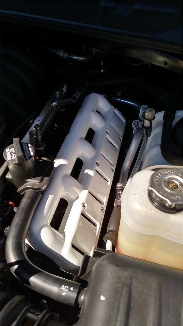 HEMI-COIL-PACK-COVER-4.jpg